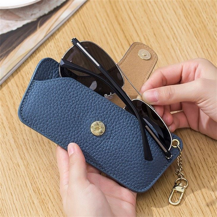 sunglasses case sunglasses case